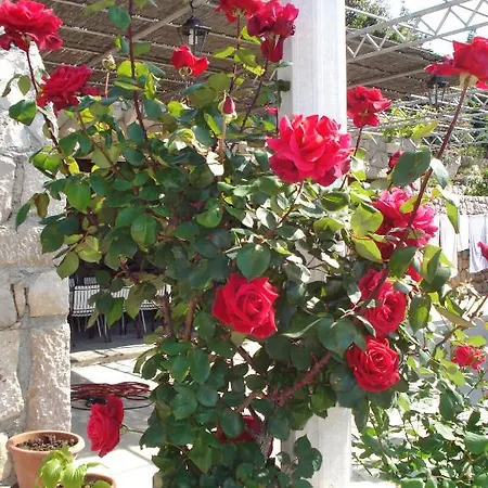 Πανσιόν Tri Sestre Ντουμπρόβνικ