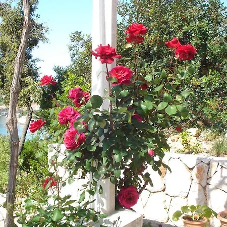 Tri Sestre Πανσιόν Ντουμπρόβνικ